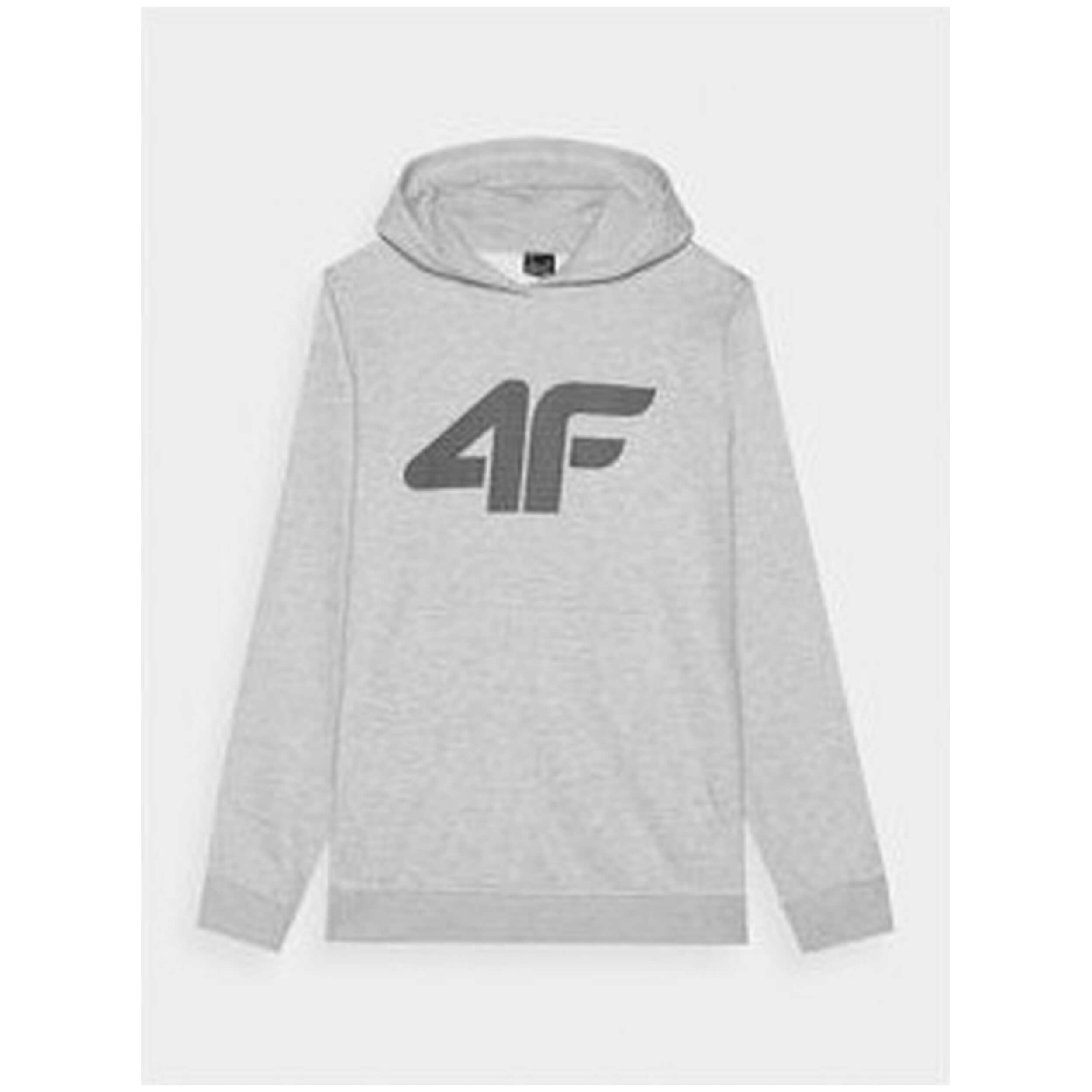 Sudadera Con Capucha 4F Sweatshirt M1464-20S