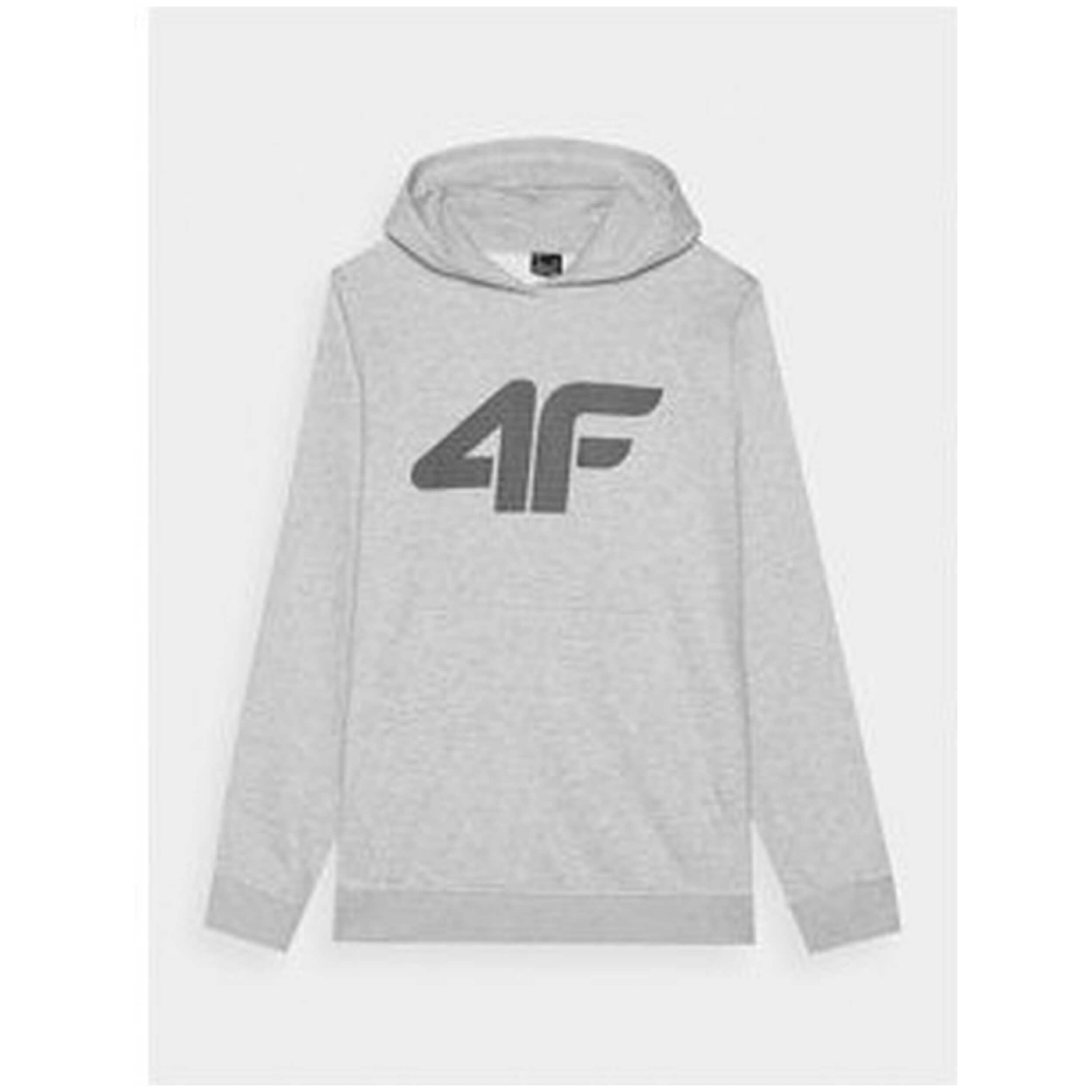 Sudadera Con Capucha 4F Sweatshirt M1464-20S