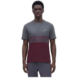Camiseta De Manga Corta Lacoste
