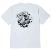 Imagen del producto con referencia TS02403-WHT