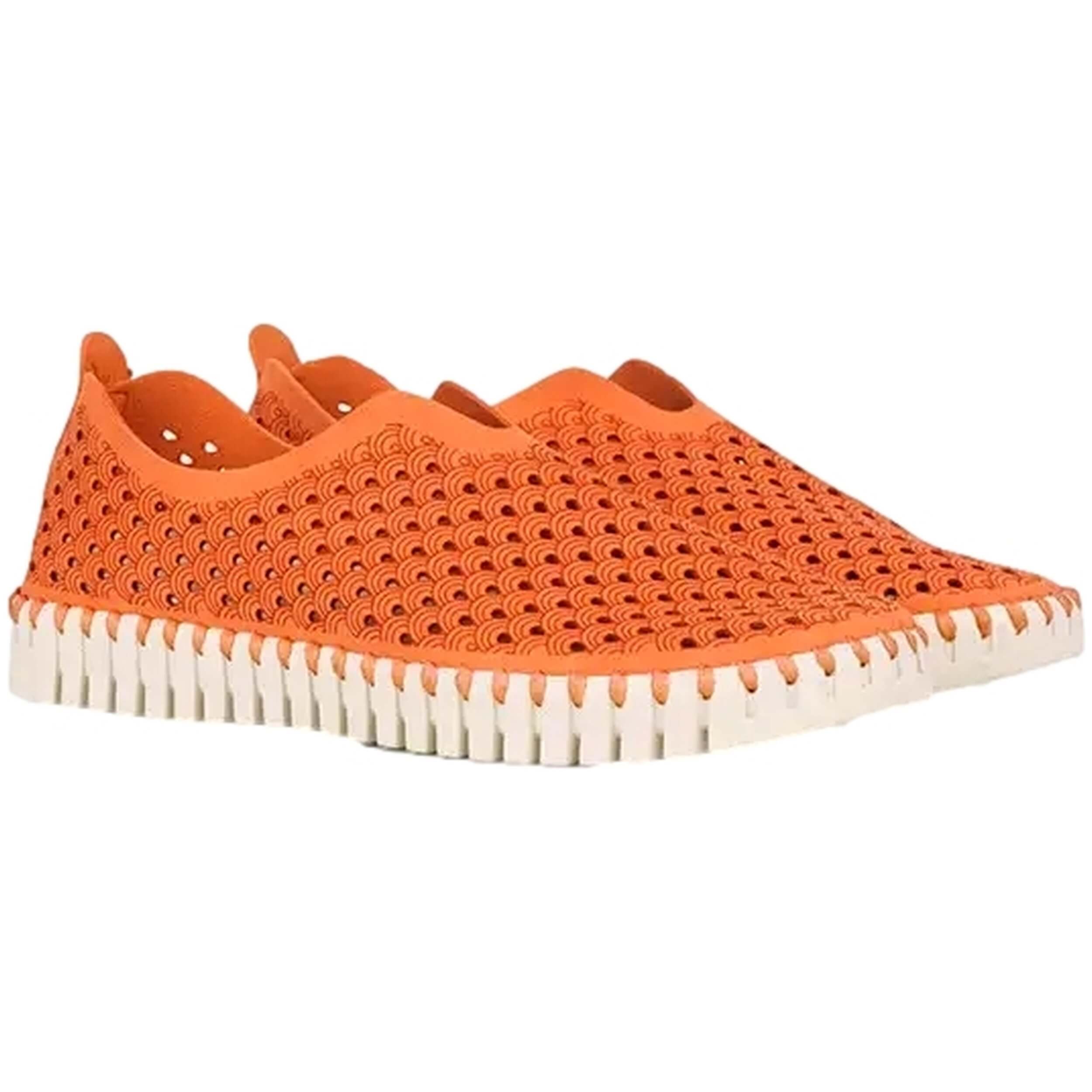 Zapatos Ilse Jacobsen Tulip3275-906