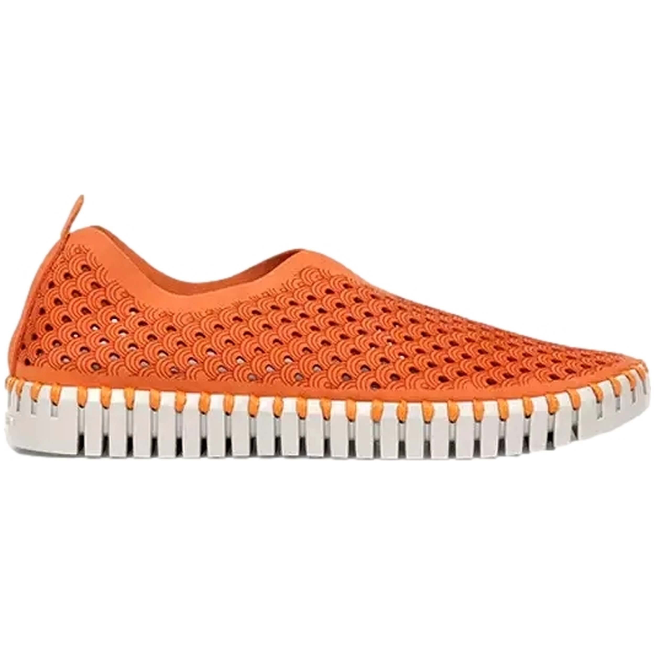 Zapatos Ilse Jacobsen Tulip3275-906