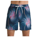 Vans Primary Print