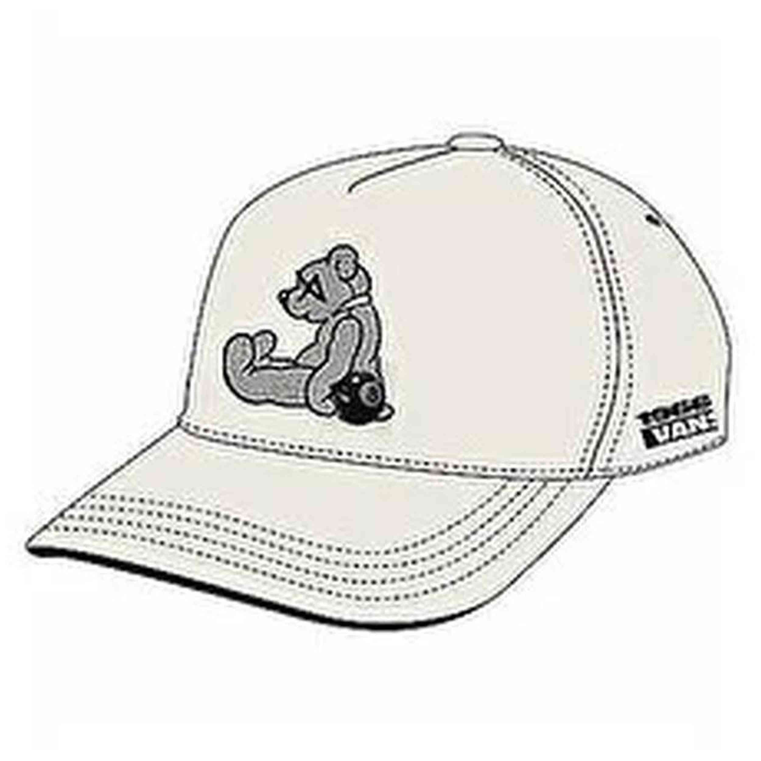 Gorra Vans Y2V