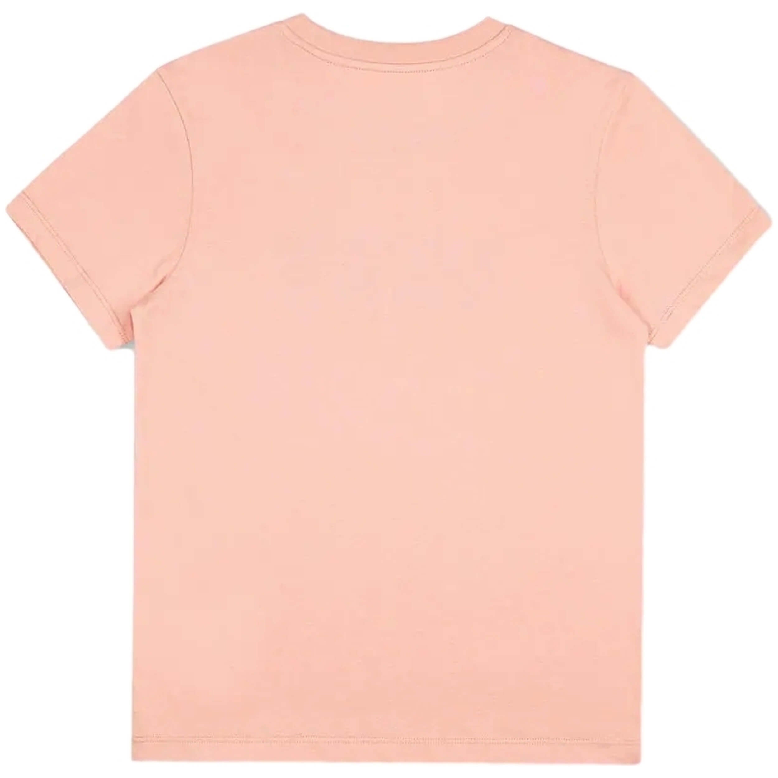 Camiseta De Manga Corta Vans Flying V
