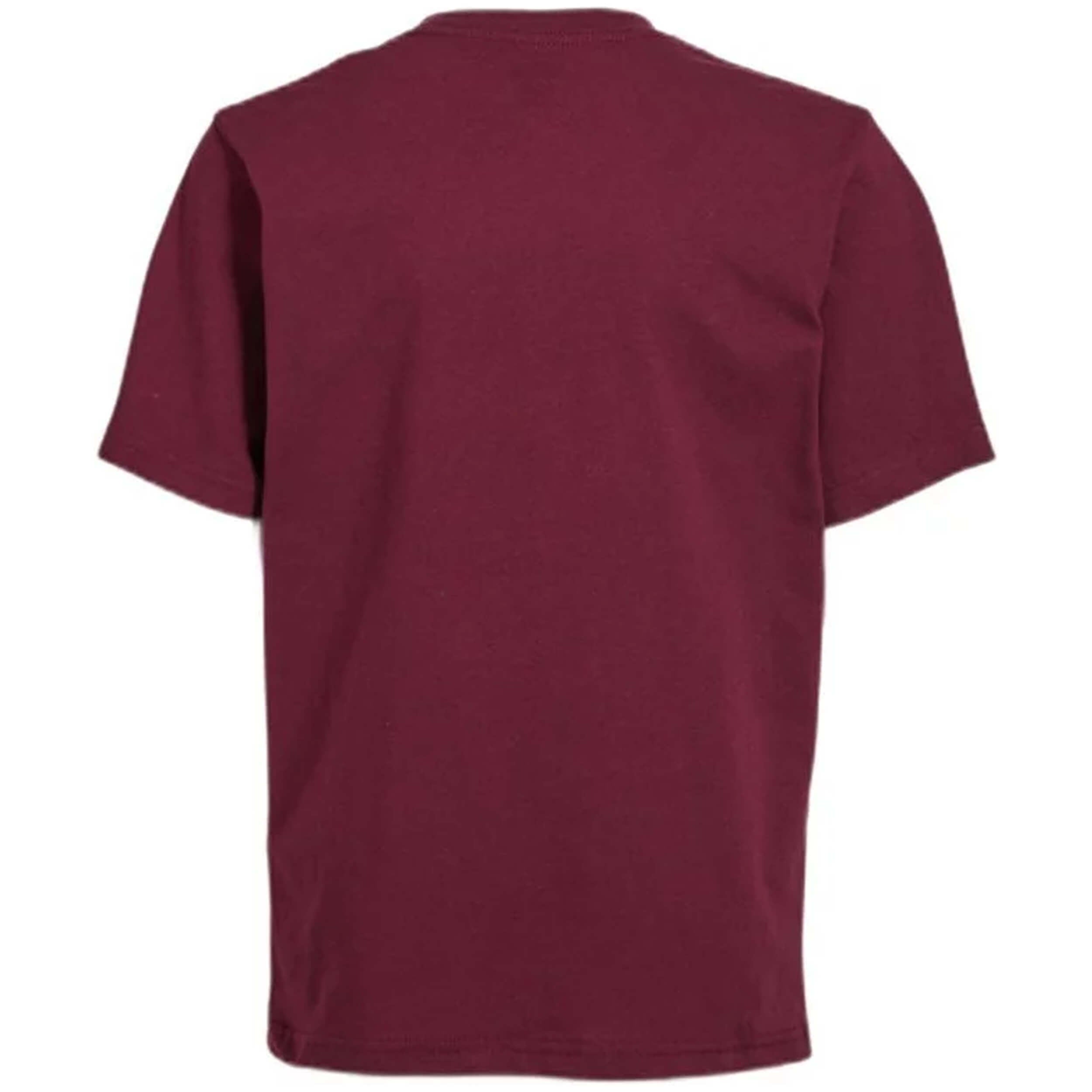 Camiseta De Manga Corta Vans Vn0A5Hnsbrg1