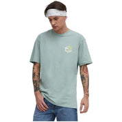  Vans Classic Mini Dual Palm Ii